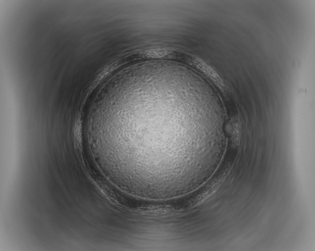 X0000116460626200912161233