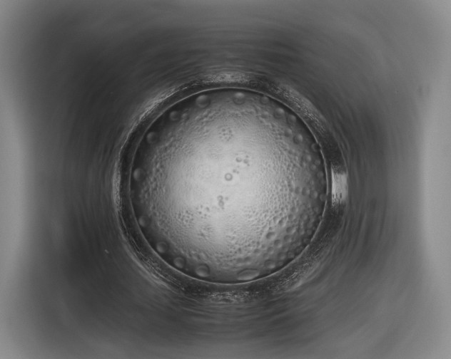 X0000116460627200912161233
