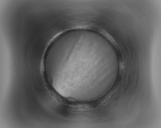 X0000116460628200912161233