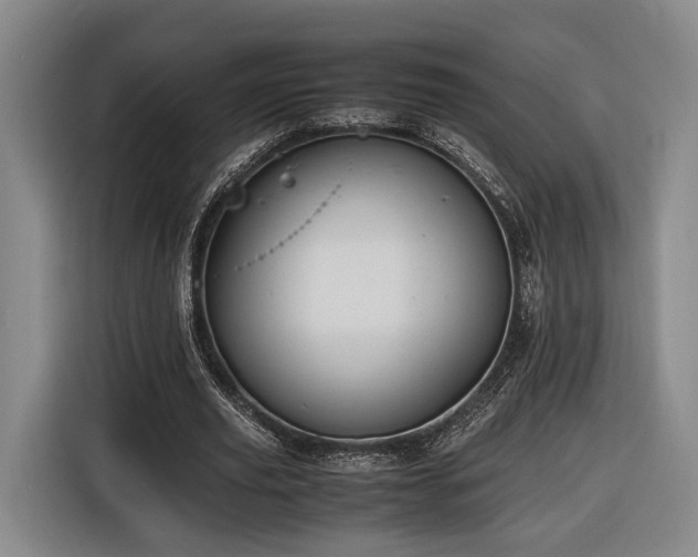 X0000116460629200912161233