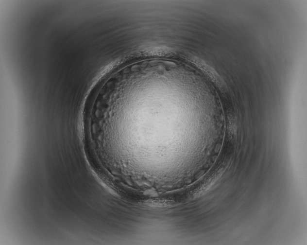 X0000116460630200912161233