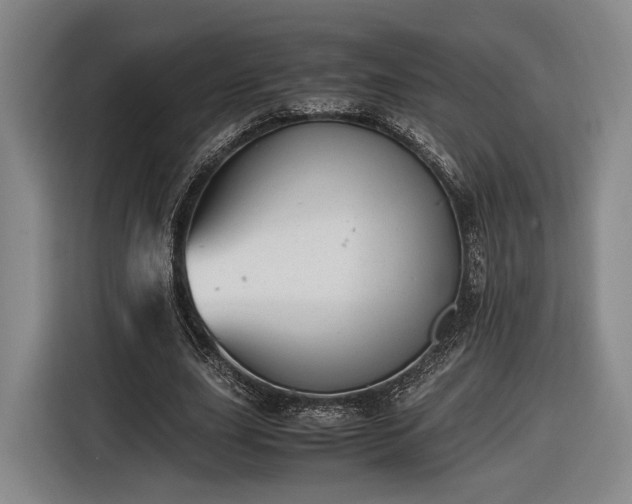 X0000116460631200912161233