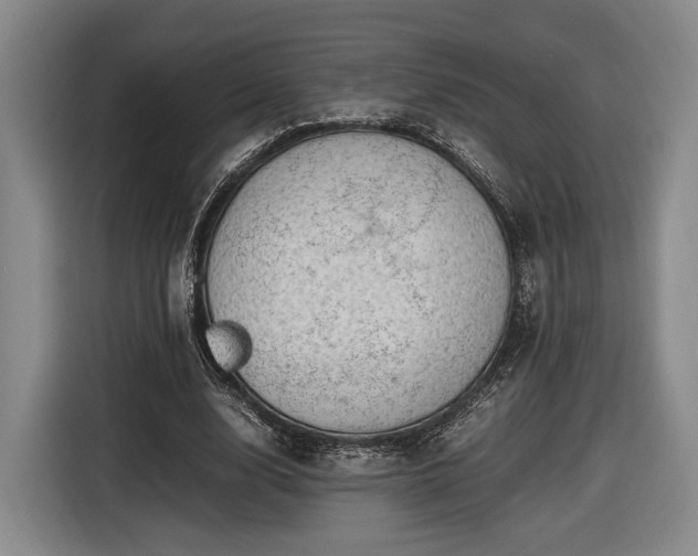 X0000116460632200912161233