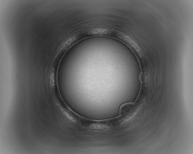 X0000116460633200912161233