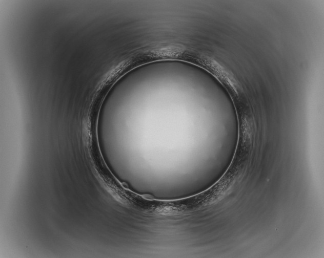 X0000116460634200912161233