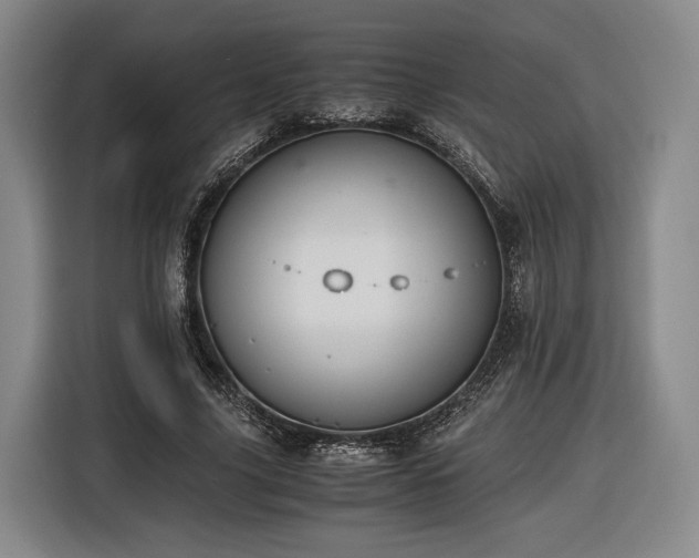 X0000116460635200912161233