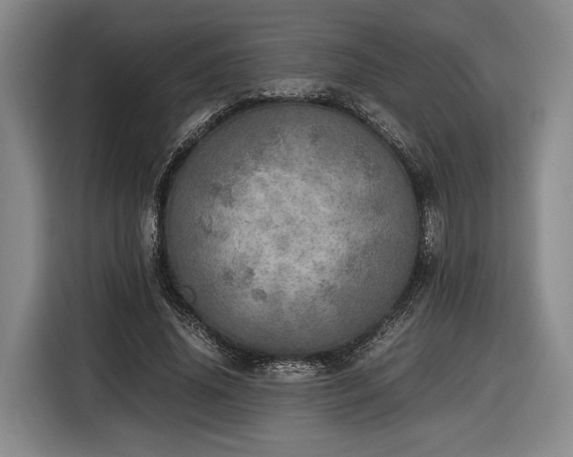 X0000116460636200912161233