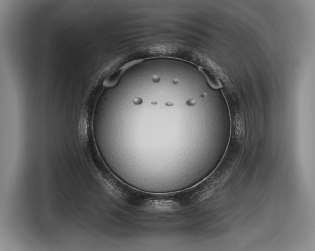 X0000116460637200912161233