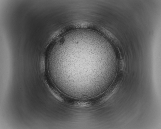 X0000116460638200912161233