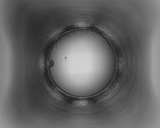 X0000116460639200912161233