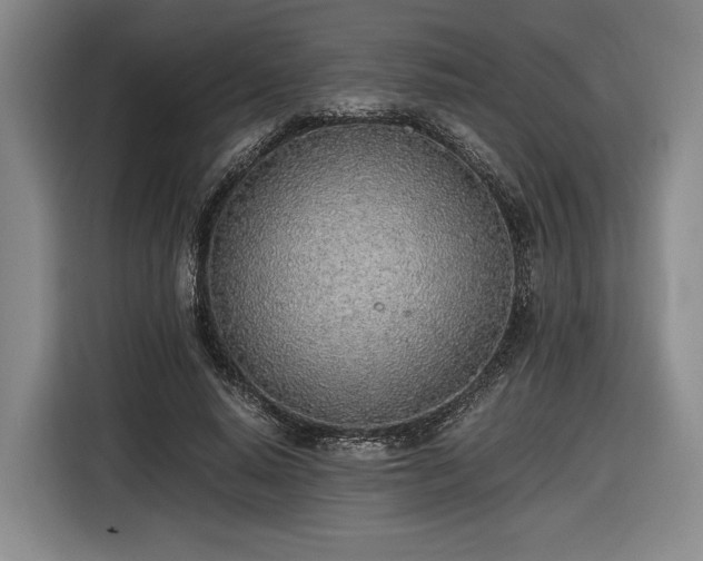 X0000116460640200912161233