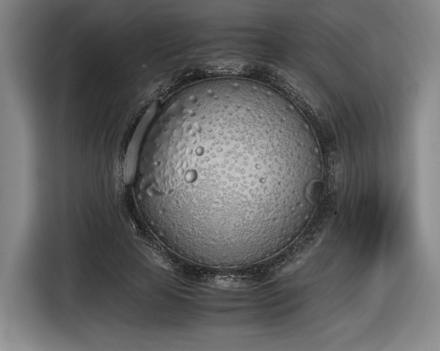 X0000116460641200912161233