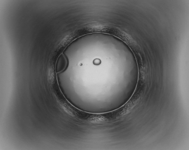 X0000116460642200912161233