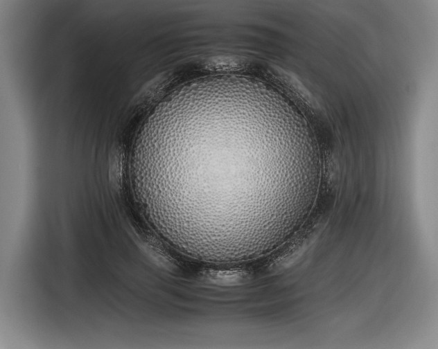 X0000116460645200912161233
