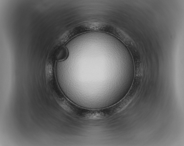 X0000116460646200912161233
