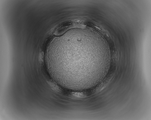X0000116460649200912161233