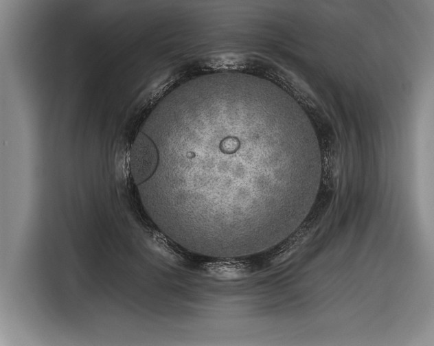 X0000116460652200912161233