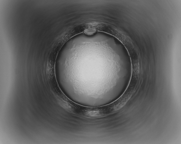 X0000116460653200912161233