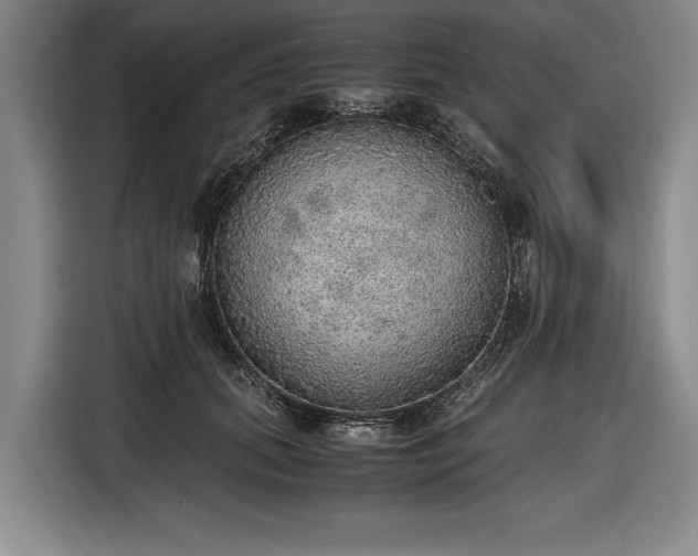 X0000116460655200912161233