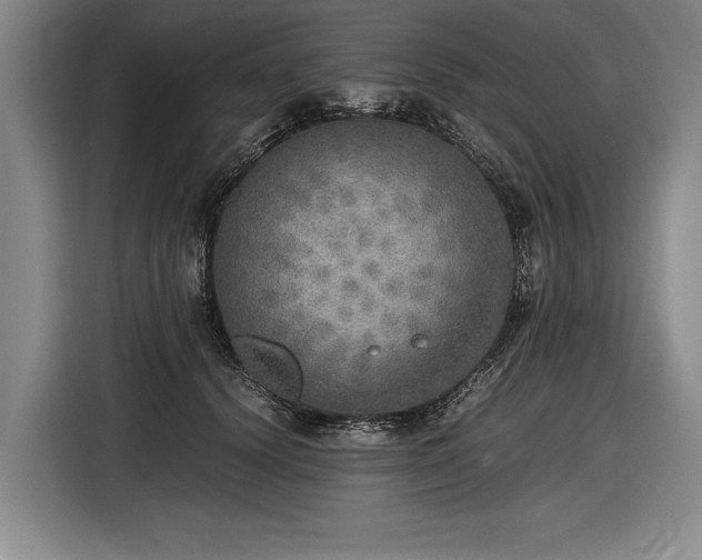 X0000116460656200912161233