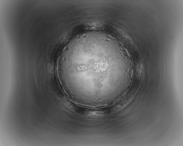 X0000116460657200912161233