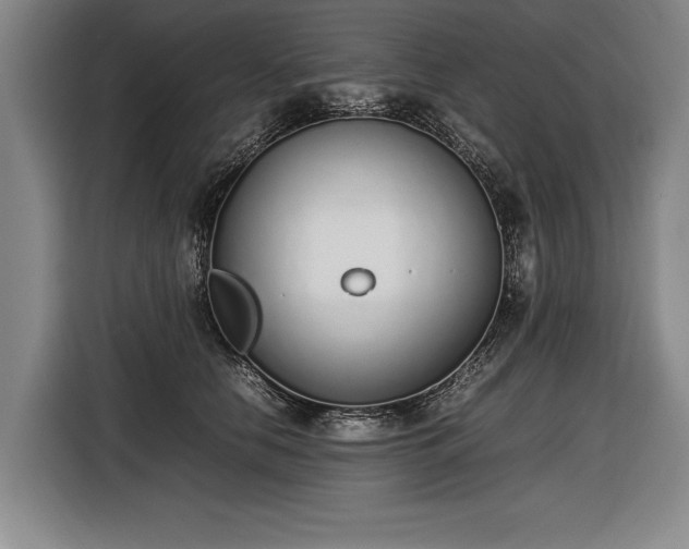 X0000116460658200912161233