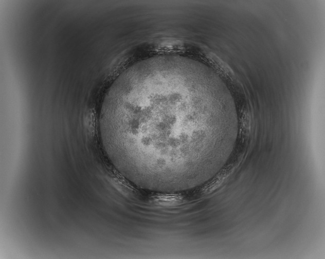 X0000116460659200912161233