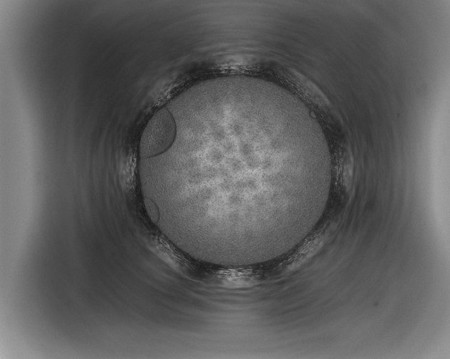 X0000116460660200912161233