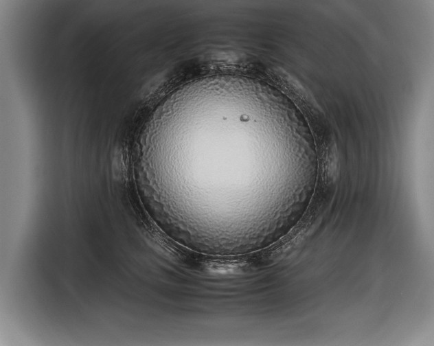 X0000116460661200912161233