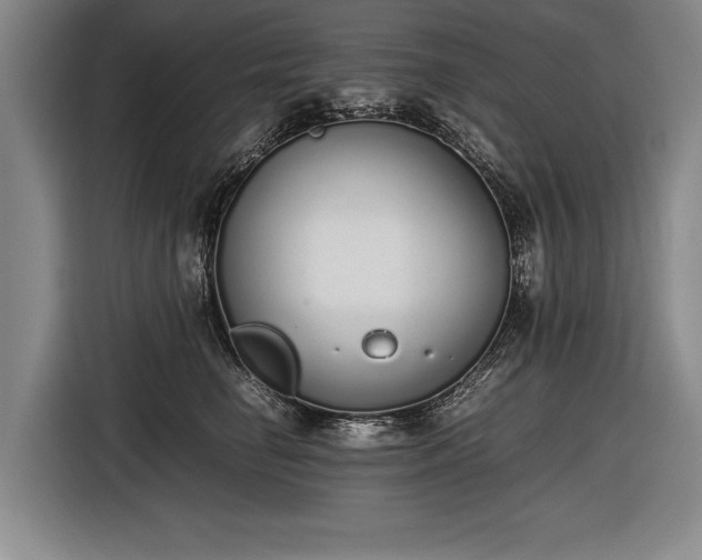 X0000116460662200912161233