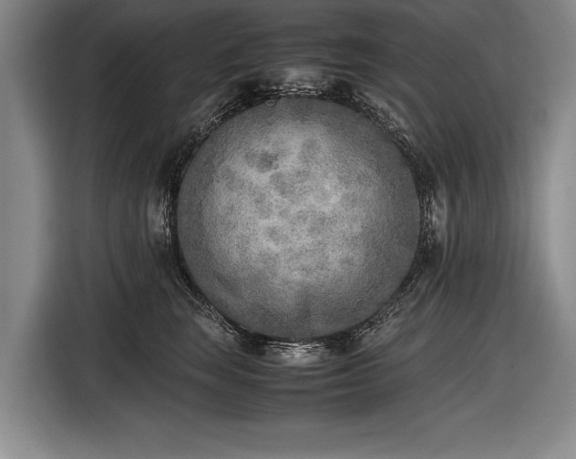 X0000116460663200912161233
