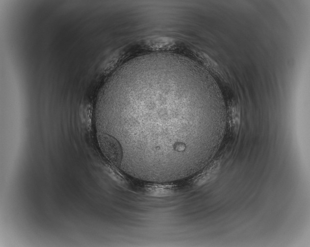 X0000116460664200912161233