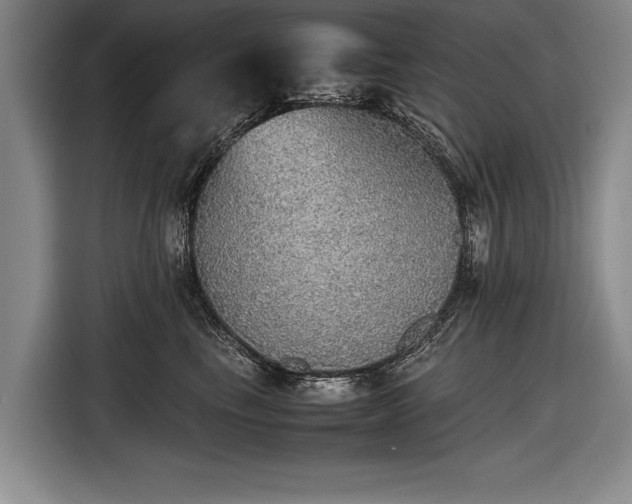 X0000116460665200912161233
