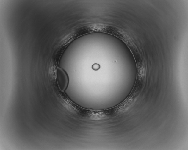 X0000116460666200912161233