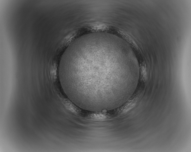 X0000116460668200912161233