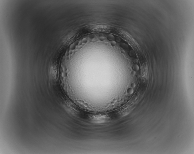 X0000116460669200912161233