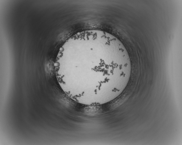 X0000116460672200912161233