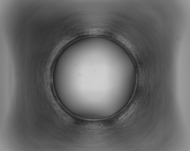 X0000116460673200912161233
