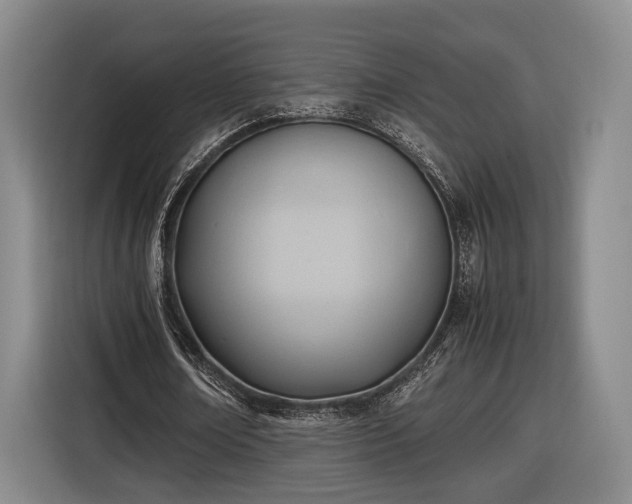 X0000116460674200912161233