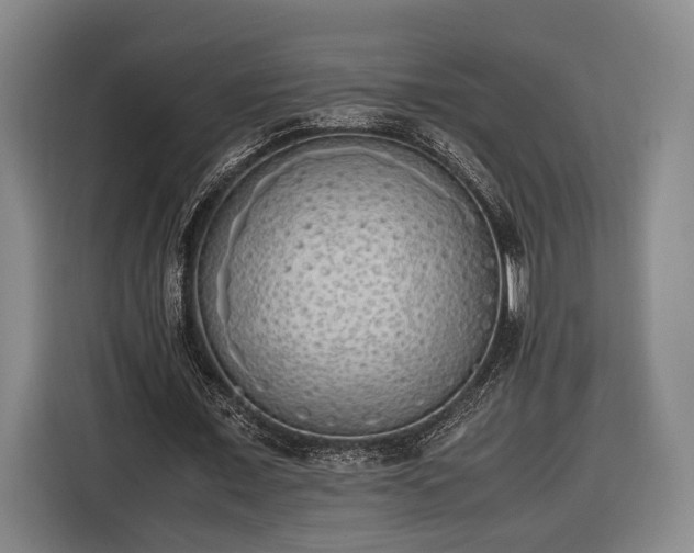 X0000116460675200912161233