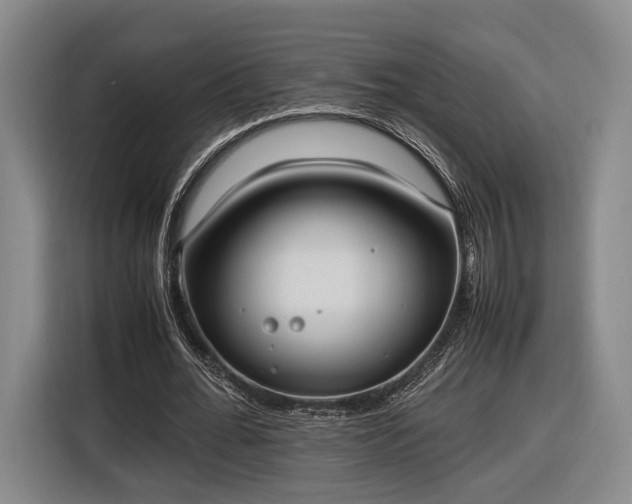 X0000116460676200912161233
