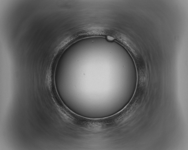 X0000116460677200912161233