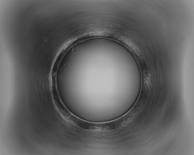 X0000116460678200912161232