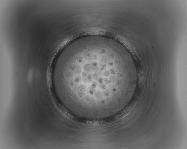 X0000116460679200912161232