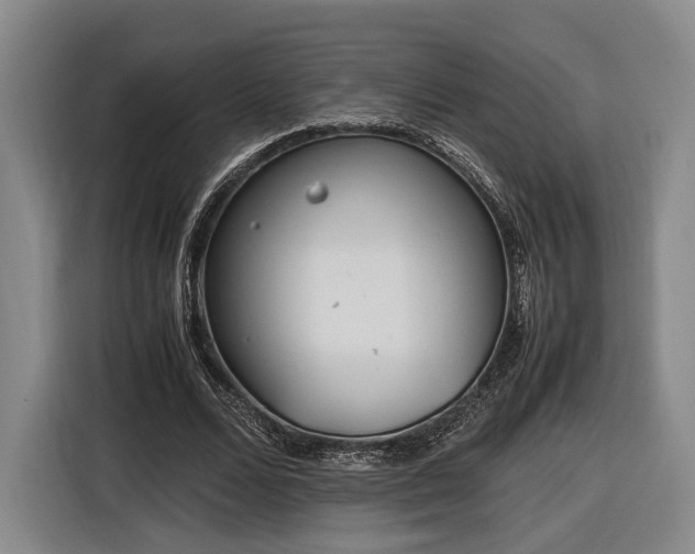 X0000116460680200912161232