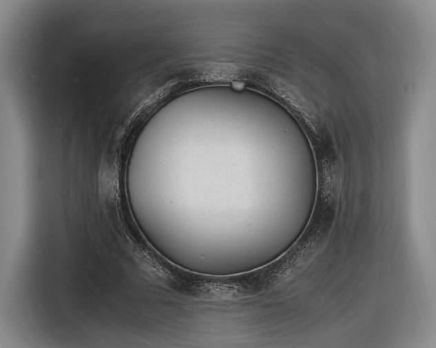 X0000116460681200912161232