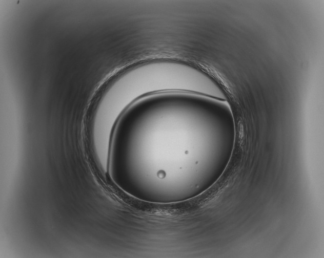 X0000116460684200912161232