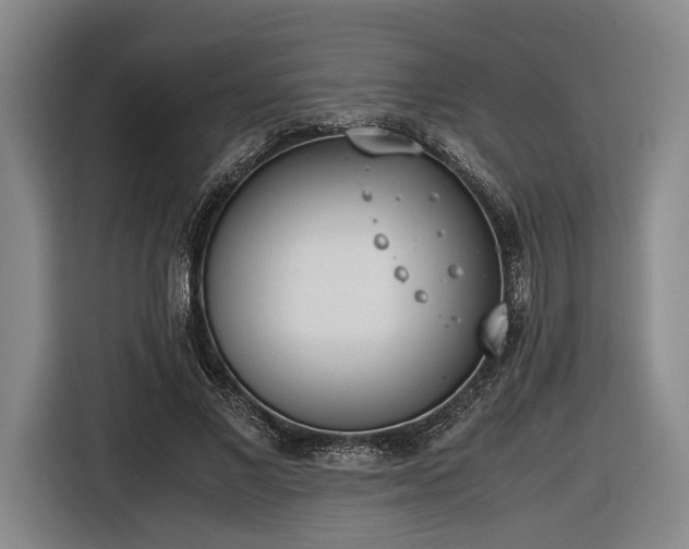 X0000116460685200912161232