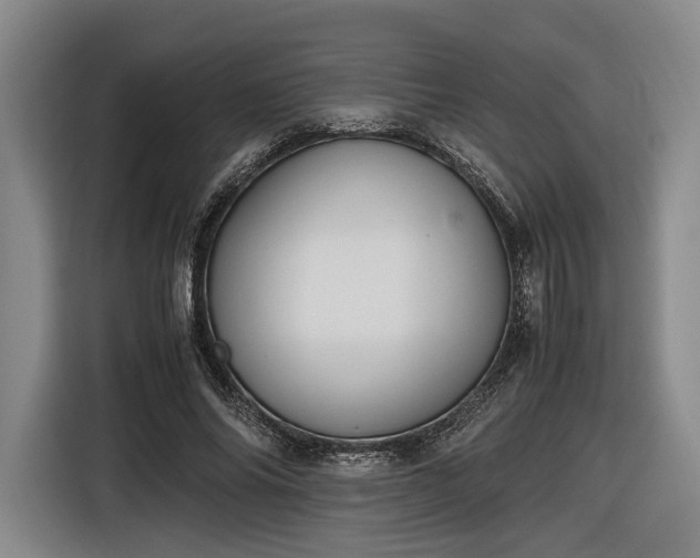 X0000116460686200912161232