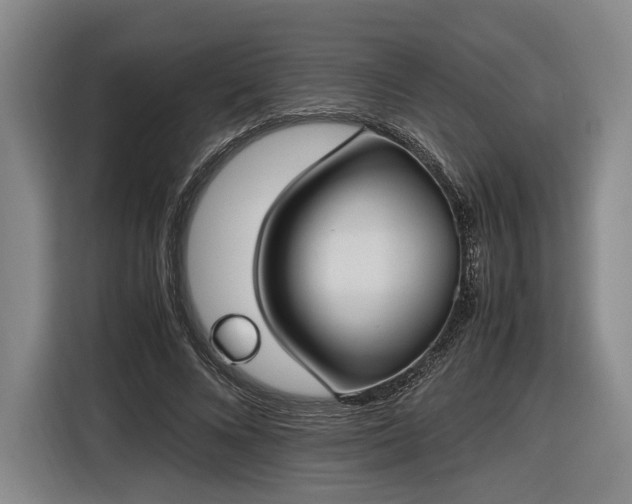 X0000116460688200912161232